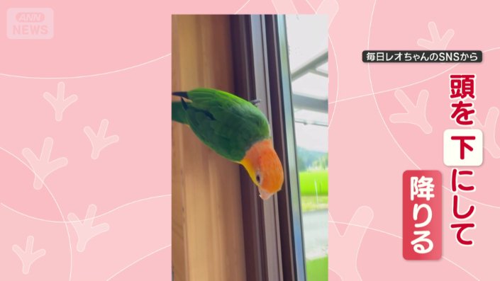 窓枠をつかみ、ス〜ッと降下