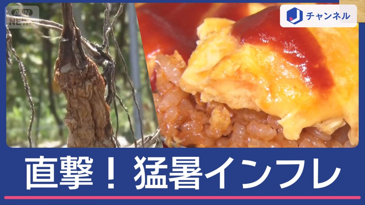 食卓直撃「猛暑インフレ」月2.5万円の負担増に？一方トランプ効果で価格安も