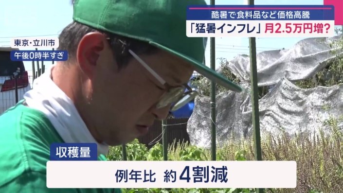 収穫量は例年比約4割減
