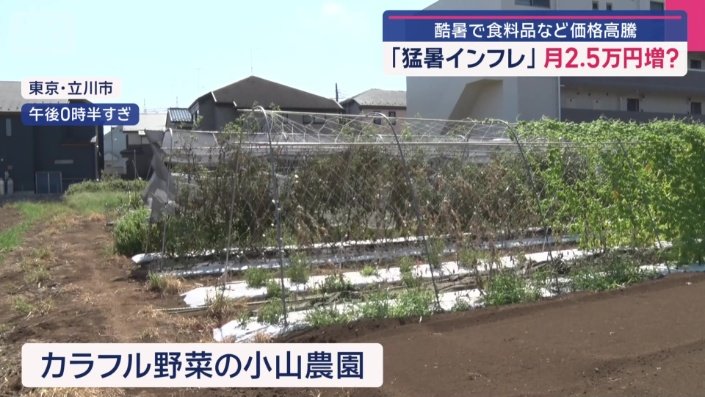 カラフル野菜の小山農園