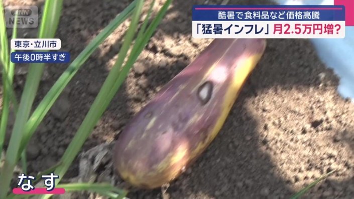 ナスも猛暑の直撃を受けていた