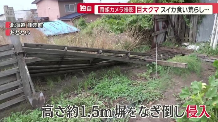高さ約1.5メートルの塀をなぎ倒し侵入