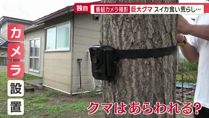 番組では畑にカメラを設置