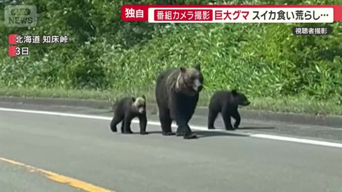 羅臼岳周辺で目撃情報が相次いでいた