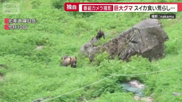 山頂に近い登山道でも確認