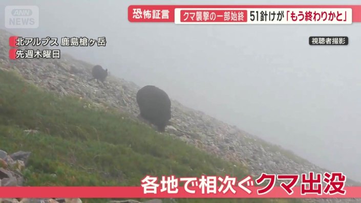 全国各地で相次ぐクマの出没
