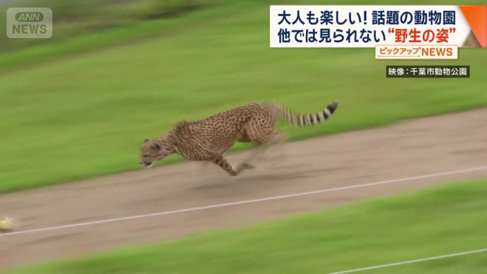 他ではみられない“野生の姿”