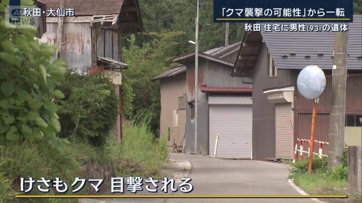目撃情報
