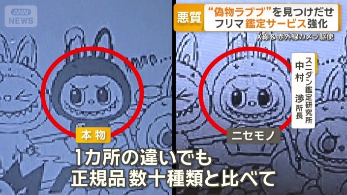 赤外線カメラで比較した鑑定も