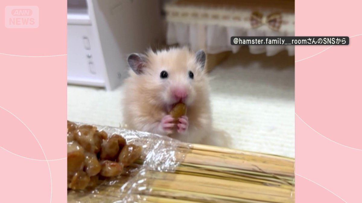 鼻先近くで持ち、ハムハム