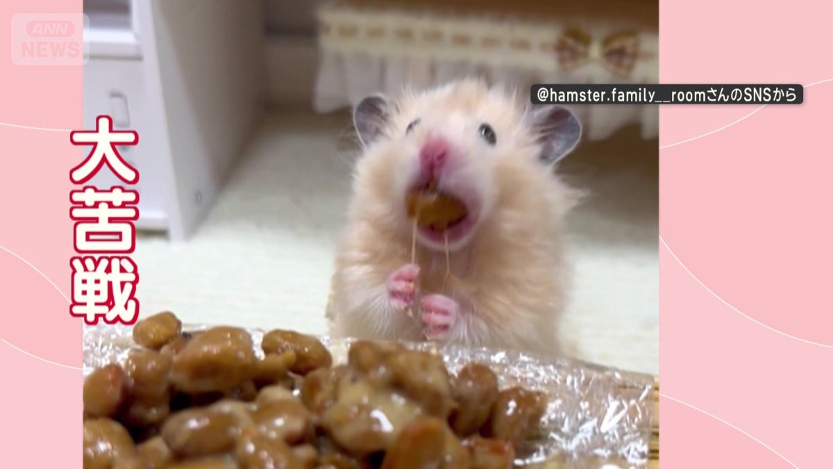 ネバネバに大苦戦!