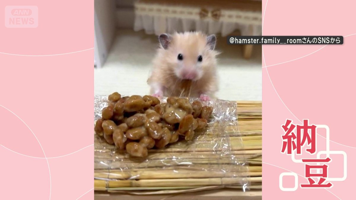 納豆を与えると…