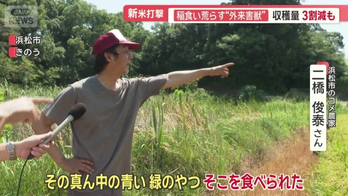 浜松市のコメ農家　二橋俊泰さん