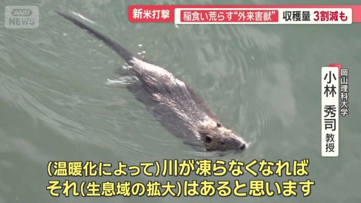 温暖化によりさらに生息域が広がる可能性が
