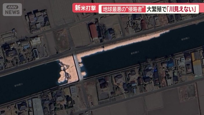 航空写真