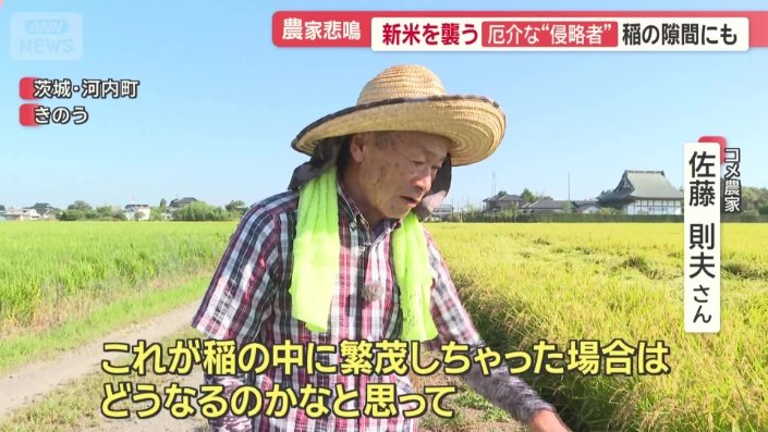 コメ農家　佐藤則夫さん