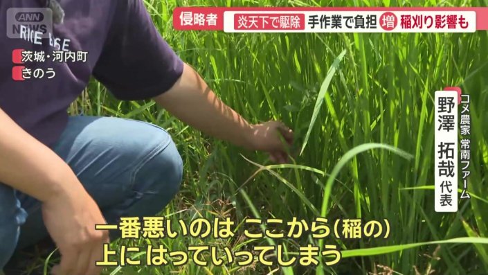 「増やす原因を自分で作ってしまう」