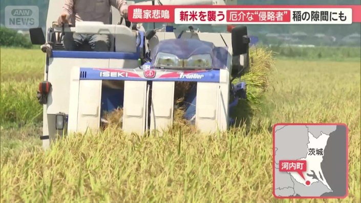 屈指のコメどころとして知られる河内町