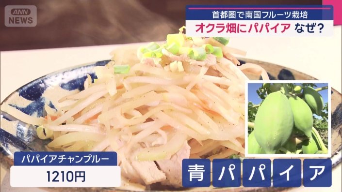 名物メニュー「パパイアチャンプルー」