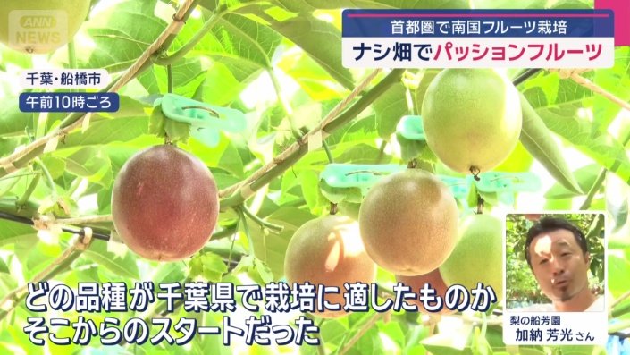 試行錯誤のうえ、やっとここまできという