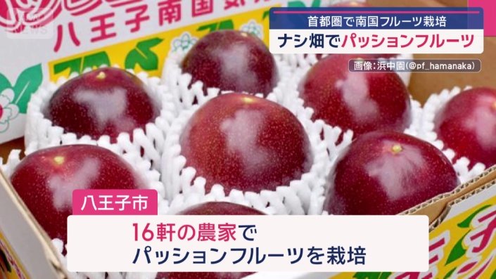 八王子市内では16軒の農家が作っている