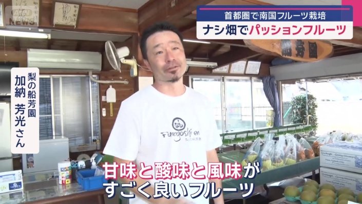 種も食べられるそうだ