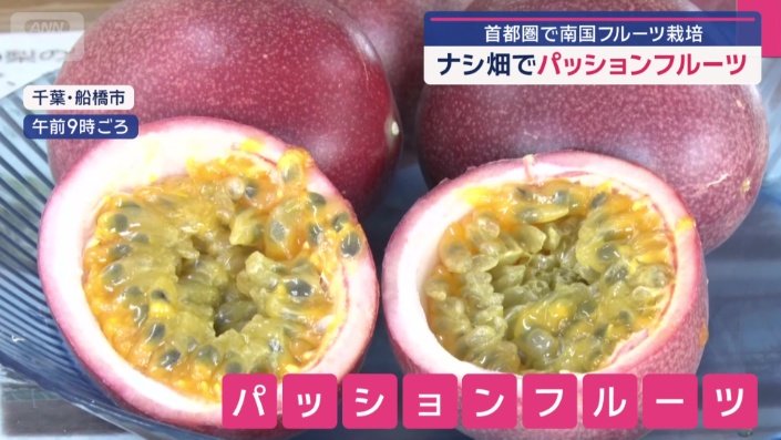 南国の果実「パッションフルーツ」