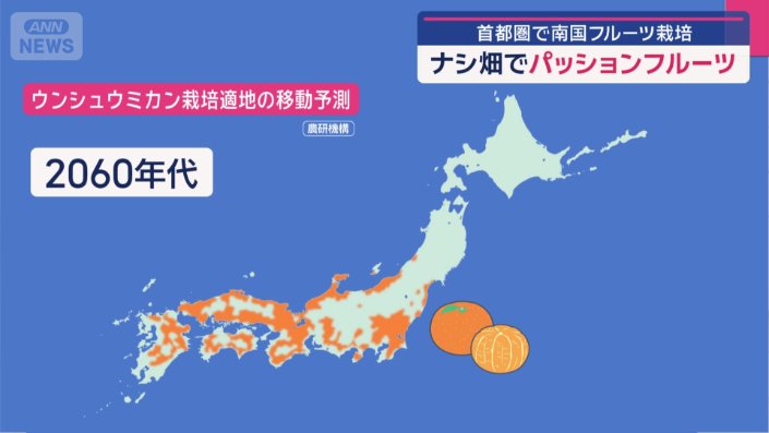温暖化の影響で2060年代には南東北の沿岸部が栽培に適した地域になると予測
