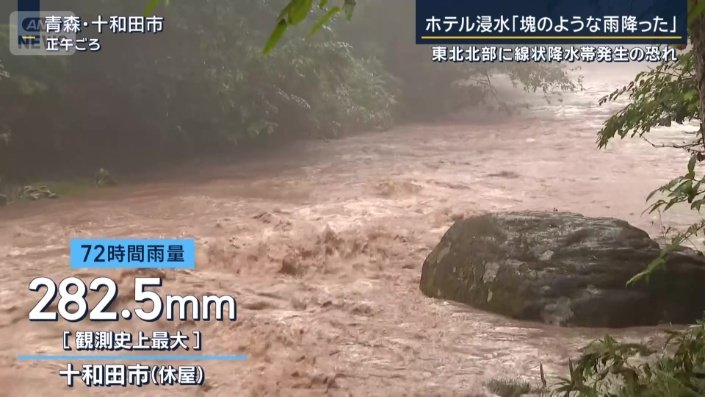 十和田市