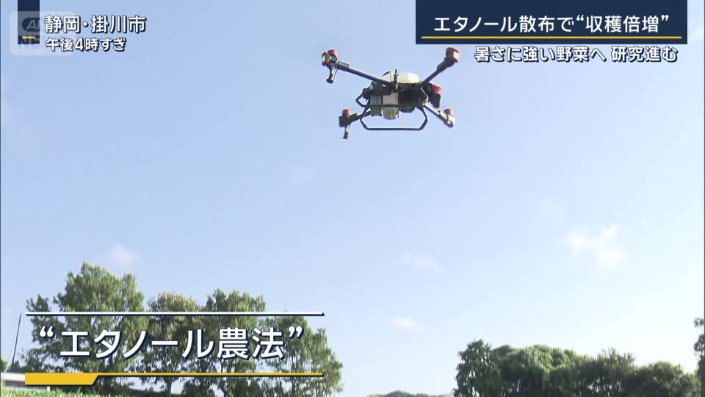 エタノール農法