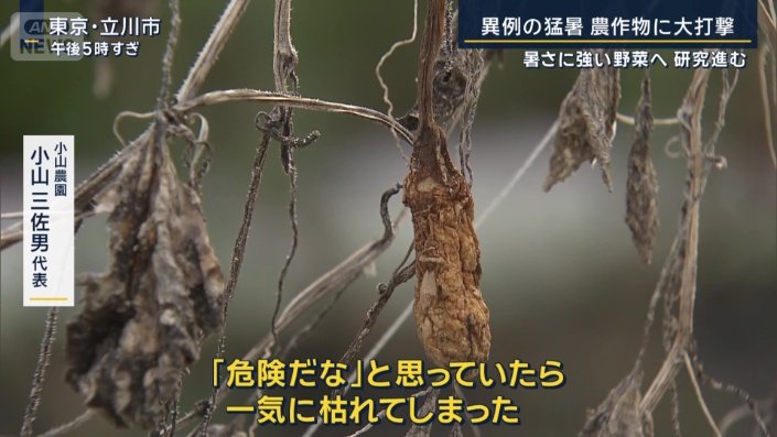 小山農園　小山三佐男代表