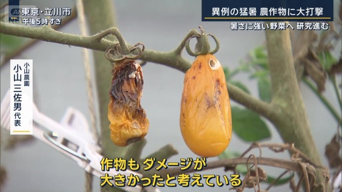 小山農園　小山三佐男代表