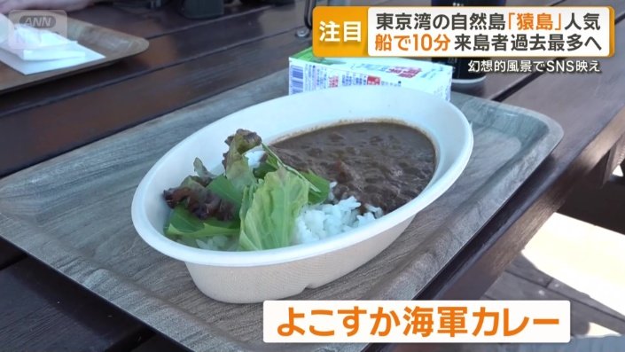 よこすか海軍カレー