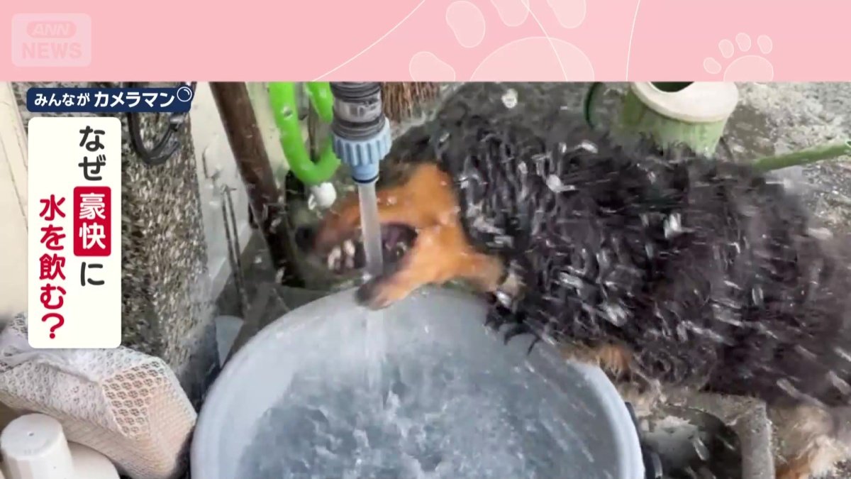 なぜ豪快に水を飲む？