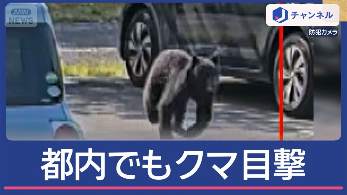 都内でもクマ目撃「全速力、あれが来たら怖い」