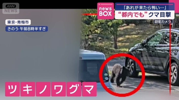 目撃されたのは20日午前8時半過ぎ