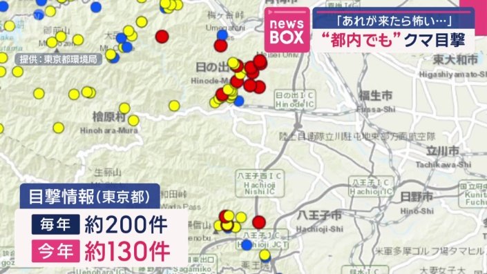 クマの目撃情報
