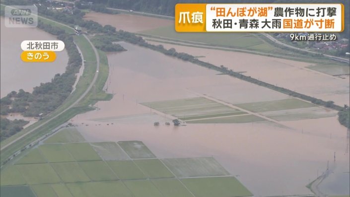 水につかった田んぼ