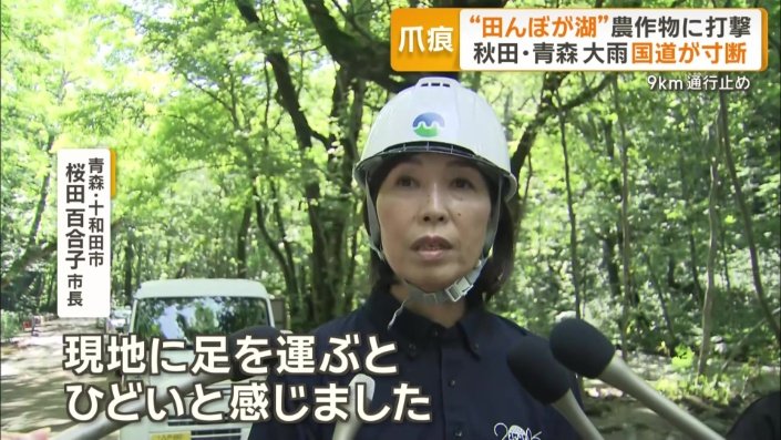 青森県十和田市　桜田百合子市長