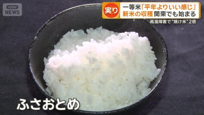 「ふさおとめ」の新米