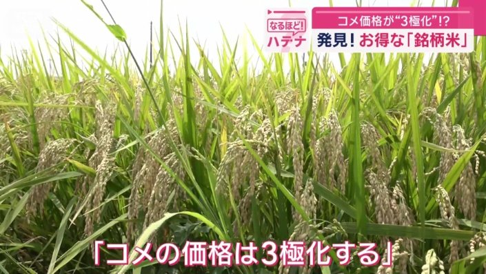 「コメの価格は3極化する」