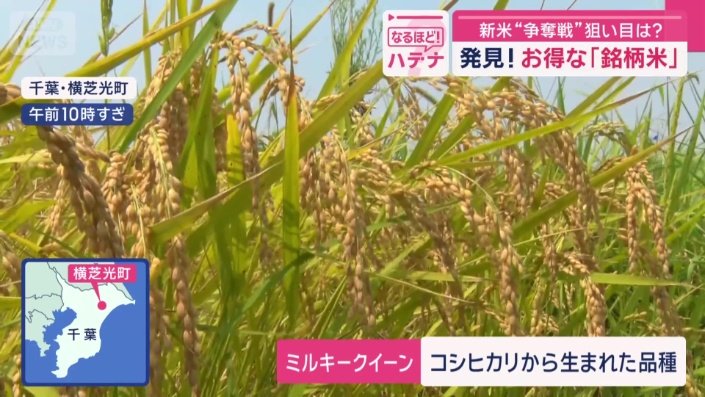 新しい品種「ミルキークイーン」