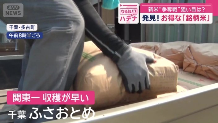 関東一収穫が早い「ふさおとめ」