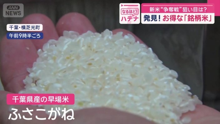 千葉県産の早場米「ふさこがね」