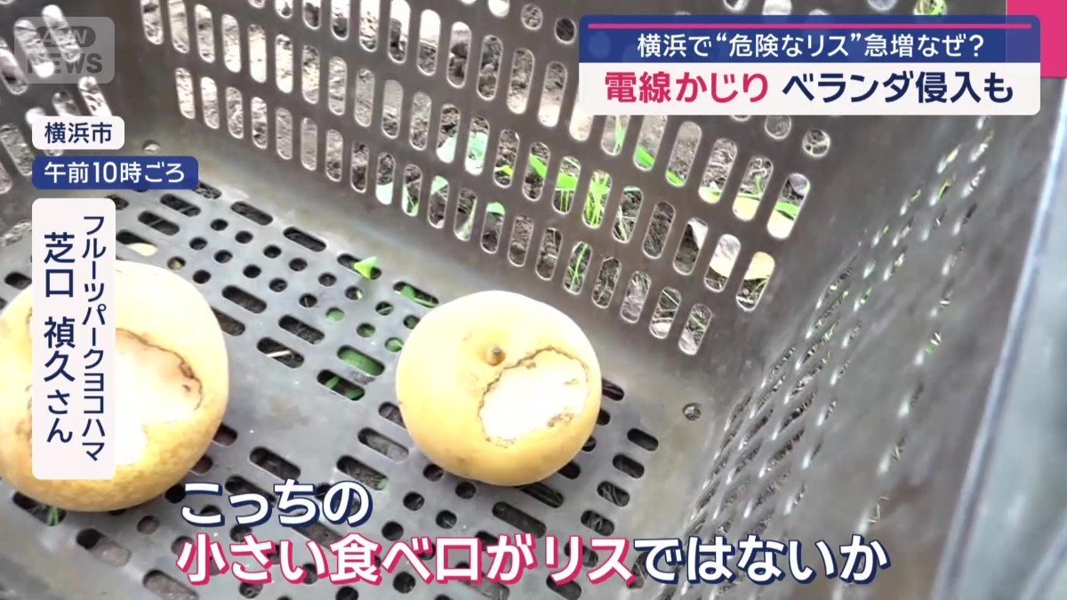様々な被害が出ていた