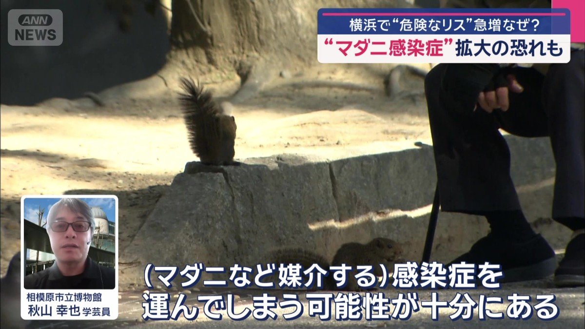 もし見かけても、触らないように注意が必要
