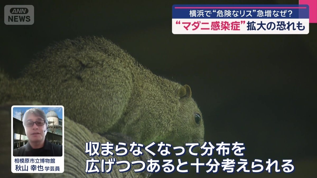 なぜ、横浜で急増？