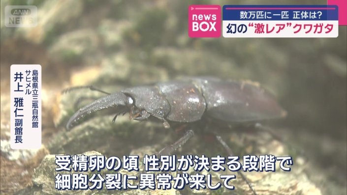 なぜ、このような個体が生まれた？