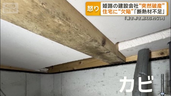 床下はカビだらけ