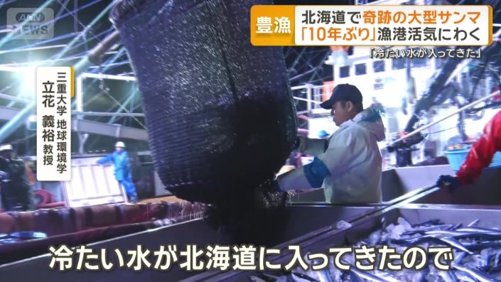 冷たい水温をサンマは好む